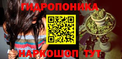 гидра Гай
