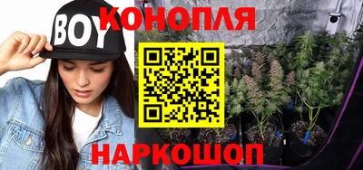 прущая мука Гатчина