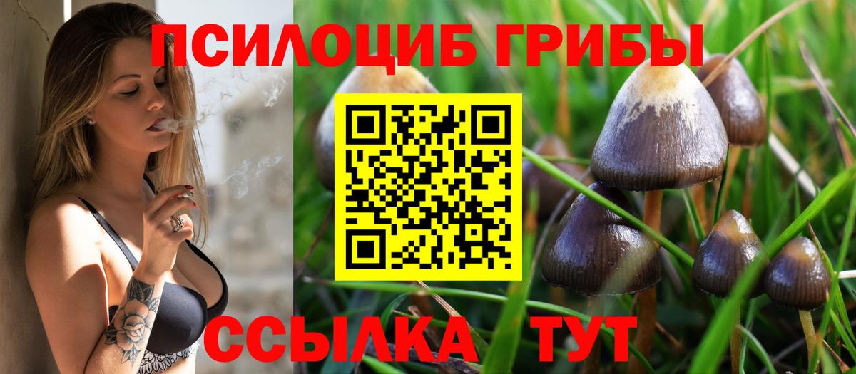 Галлюциногенные грибы мухоморы  Вход с VPN  Полысаево  Галлюциногенные грибы Magic Shrooms 
